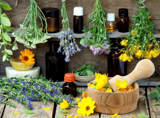 Herbs and tinctures for the treatment of prostatitis